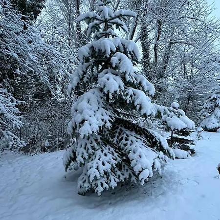 Schatzkiste H דירה הוקזיל
